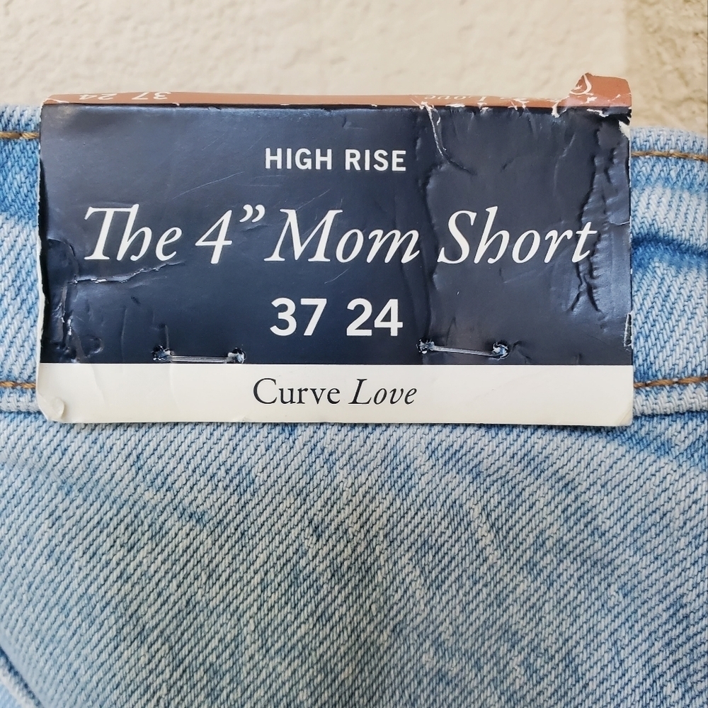 Abercrombie and Fitch Plus Size Denim Shorts.  Size 37/24 - Picture 2 of 6